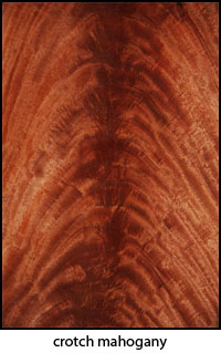 crotch mahogany
